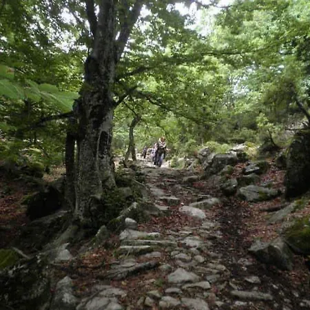 Appartamento Harmony Seaside Pelion Platanias (Thessaly)