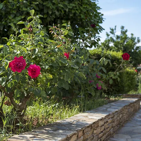 Harmony Seaside Pelion Appartamento