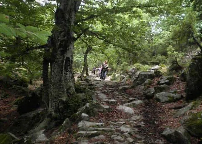 דירה Harmony Seaside Pelion פלאטניאס