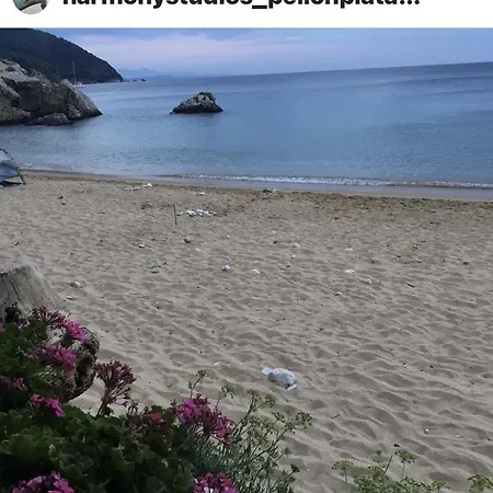Harmony Seaside Pelion Apartament *