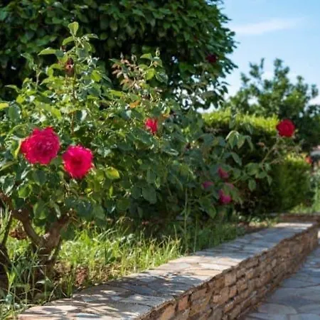Harmony Seaside Pelion * Platanias (Thessaly)