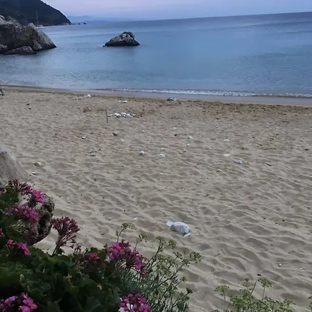 Harmony Seaside Pelion Apartamento Platanias (Thessaly)