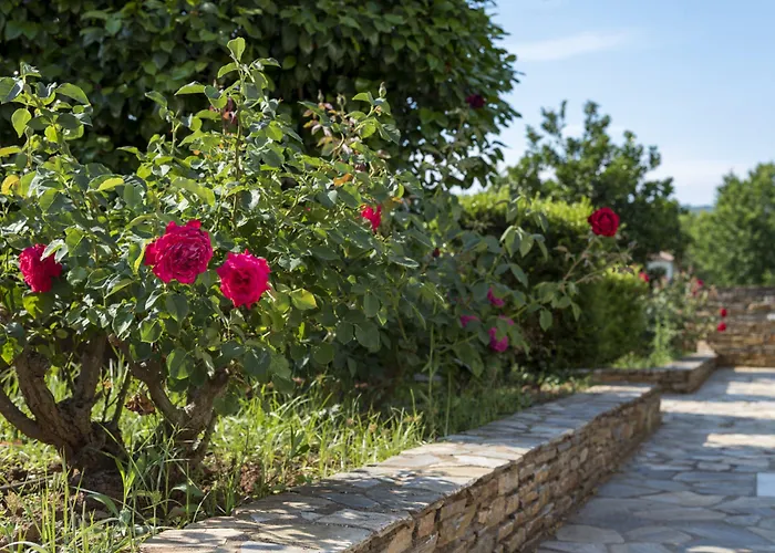 Harmony Seaside Pelion Appartement